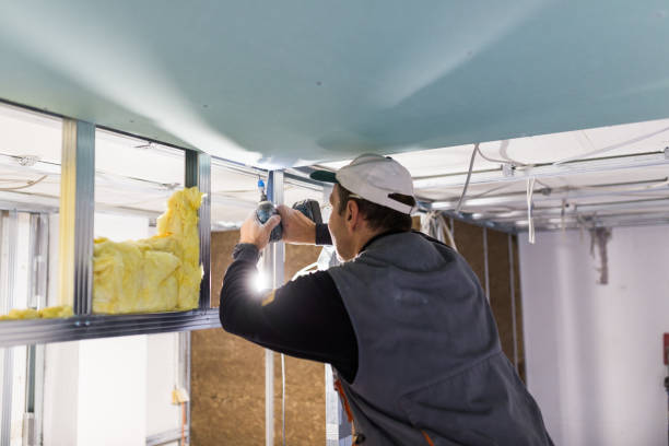 Best Insulation Inspection Services  in Fostoria, OH