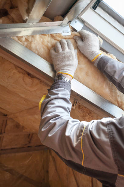Best Professional Insulation Contractor  in Fostoria, OH