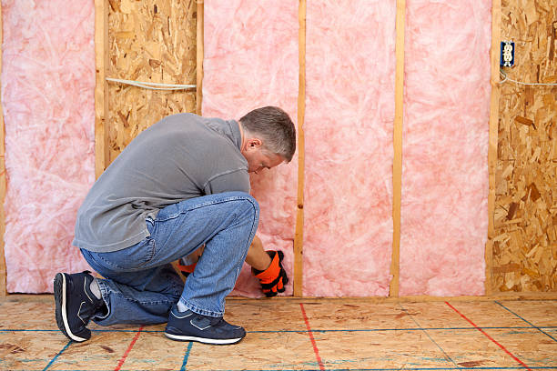 Best Crawl Space Insulation  in Fostoria, OH