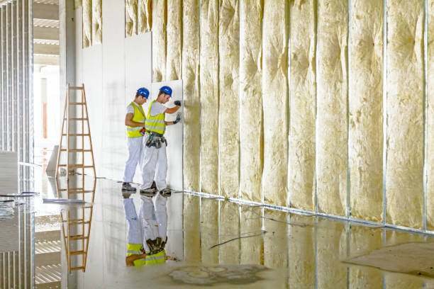 Best Insulation for New Construction  in Fostoria, OH